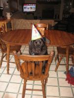 post-5121-0-27684600-1389980079_thumb.jp