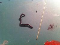 post-5424-0-62470100-1348717009_thumb.jp