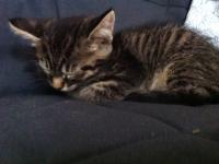 post-5424-0-88983400-1349381336_thumb.jp