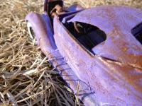 post-5471-0-80186900-1393196473_thumb.jp