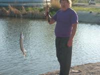 post-6187-0-12558800-1377040115_thumb.jp