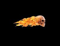 post-6187-0-19418200-1376843104_thumb.jp