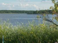 post-6187-0-78718400-1375582763_thumb.jp