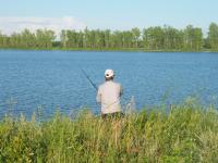 post-6187-0-94600800-1375582705_thumb.jp