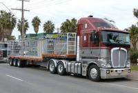 post-6455-0-70966700-1330052085_thumb.jp