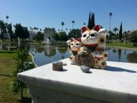 post-6643-0-02102400-1393642608_thumb.jp