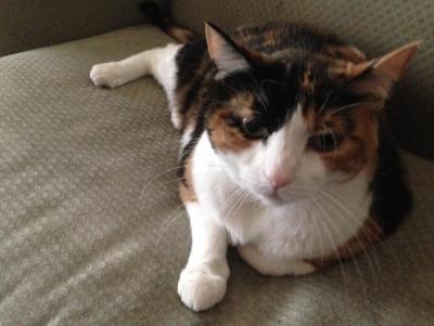 post-6643-0-21740200-1403220905_thumb.jp