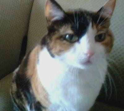 post-6643-0-22184300-1430789714_thumb.jp