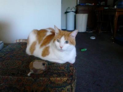 post-6643-0-31568600-1430789664_thumb.jp