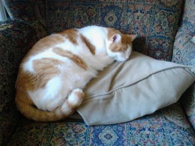 post-6643-0-62185000-1430789634_thumb.jp