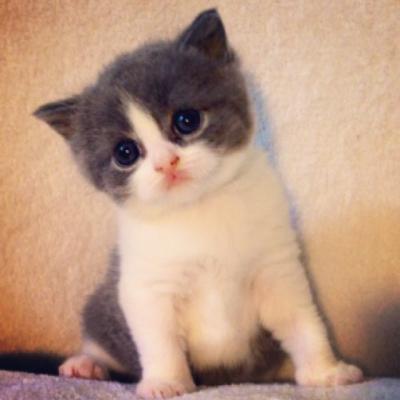 post-6643-0-90973500-1419833040_thumb.jp