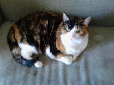 post-6643-0-92294500-1430789687_thumb.jp