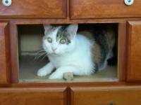 post-7285-0-65613600-1341962110_thumb.jp