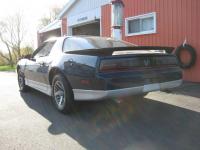 post-8574-0-40059700-1369867013_thumb.jp