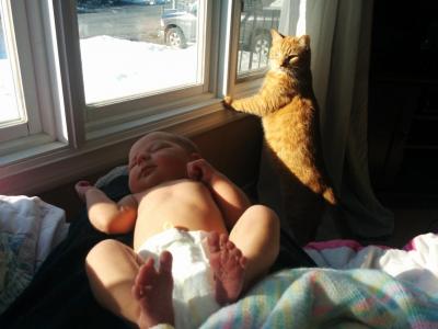 post-8574-0-46426300-1429393274_thumb.jp