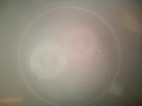 post-8648-0-17440700-1389560787_thumb.jp