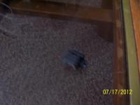 post-8908-0-89463100-1342635140_thumb.jp