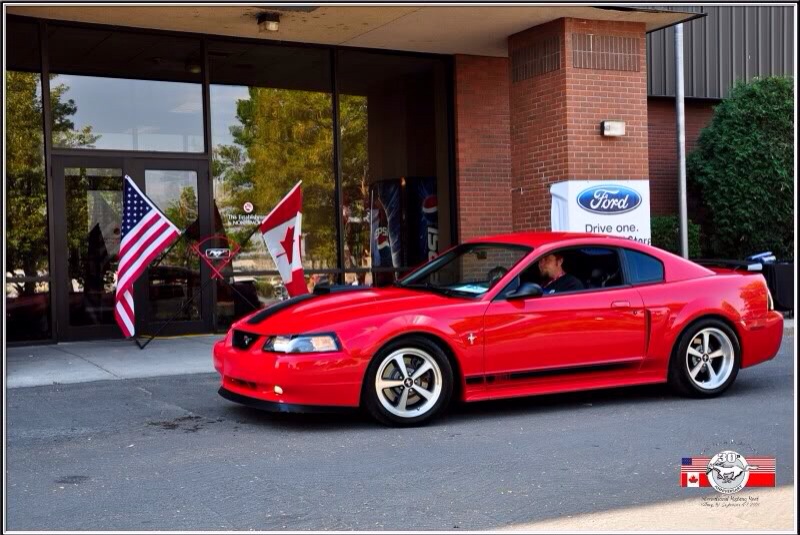 Happy 50th Birthday Ford Mustang! Post a Mustang! General Automotive