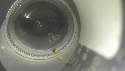 post-9116-0-20830400-1407775158_thumb.jp