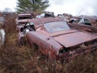 post-9220-0-08756700-1327543878_thumb.jp