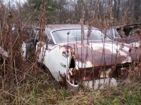 post-9220-0-82631400-1327370795_thumb.jp