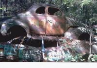 post-9659-0-05742300-1358843515_thumb.jp