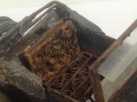 post-9740-0-12793800-1380874404_thumb.jp