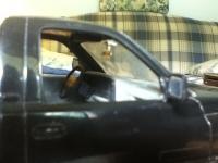 post-9855-0-74293700-1344619393_thumb.jp